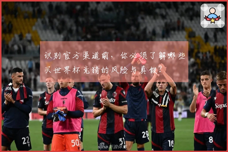 识别官方渠道前，你必须了解哪些买世界杯竞猜的风险与真假？