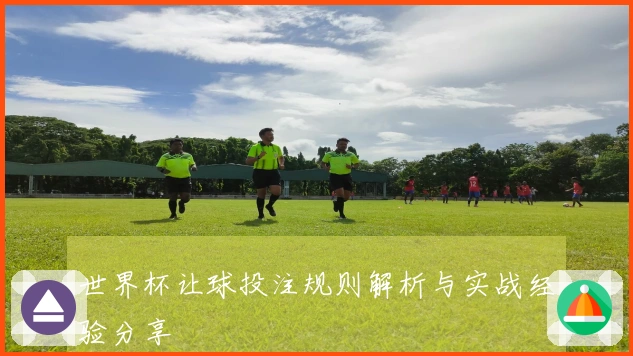 世界杯让球投注规则解析与实战经验分享