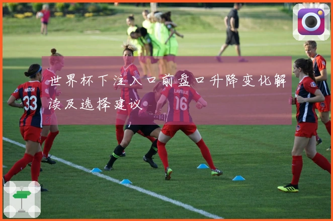 世界杯下注入口前盘口升降变化解读及选择建议