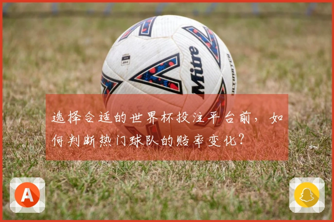 选择合适的世界杯投注平台前，如何判断热门球队的赔率变化？