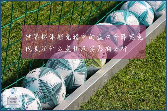 世界杯体彩竞猜中的盘口升降究竟代表了什么变化及其影响分析