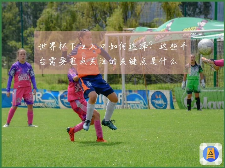 世界杯下注入口如何选择？这些平台需要重点关注的关键点是什么