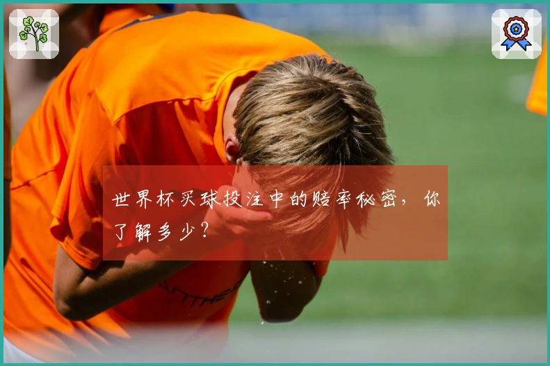 世界杯买球投注中的赔率秘密，你了解多少？
