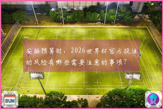 安排预算时，2026世界杯官方投注的风险有哪些需要注意的事项？