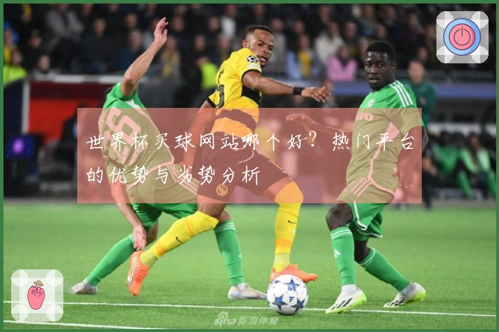 世界杯买球网站哪个好？热门平台的优势与劣势分析