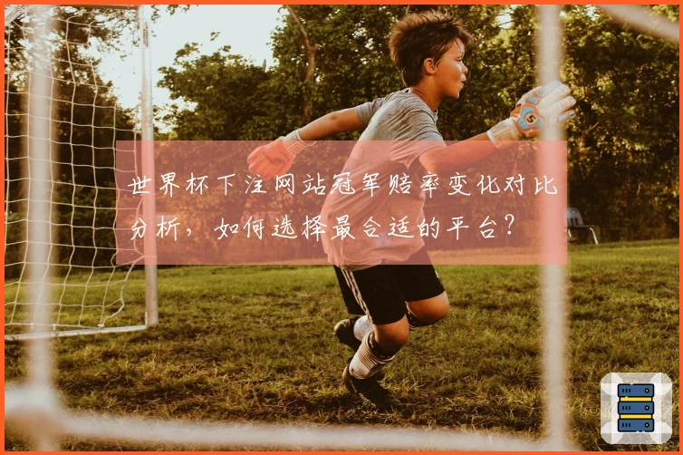 世界杯下注网站冠军赔率变化对比分析，如何选择最合适的平台？
