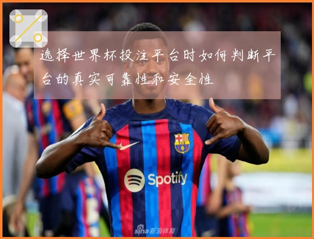 选择世界杯投注平台时如何判断平台的真实可靠性和安全性
