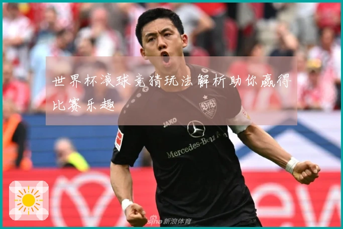 世界杯滚球竞猜玩法解析助你赢得比赛乐趣
