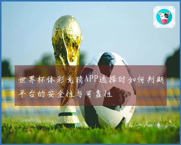 世界杯体彩竞猜APP选择时如何判断平台的安全性与可靠性