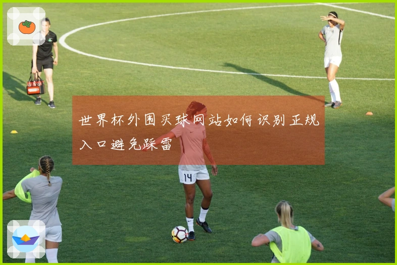 世界杯外围买球网站如何识别正规入口避免踩雷