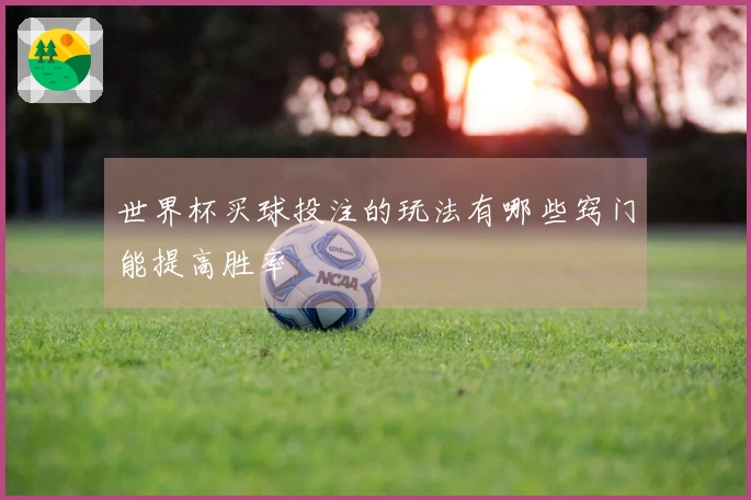世界杯买球投注的玩法有哪些窍门能提高胜率