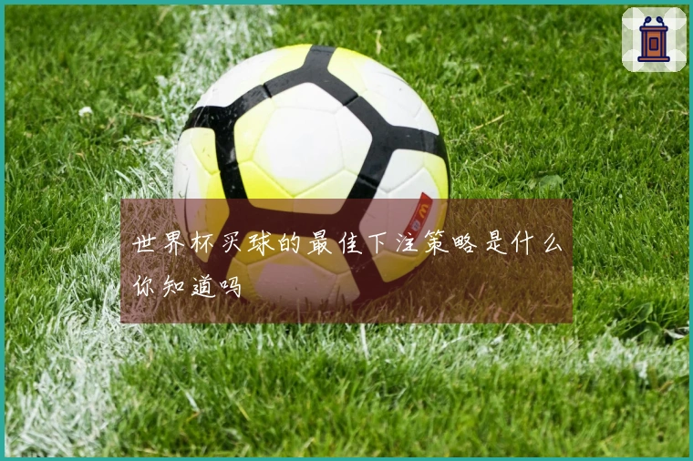 世界杯买球的最佳下注策略是什么你知道吗