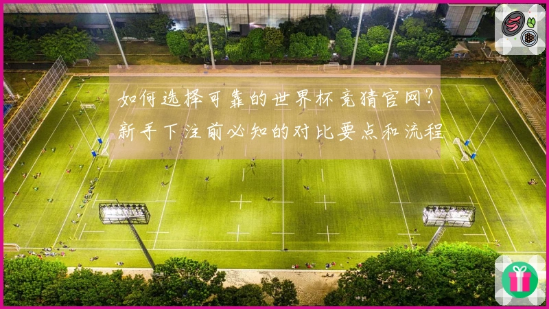 如何选择可靠的世界杯竞猜官网？新手下注前必知的对比要点和流程