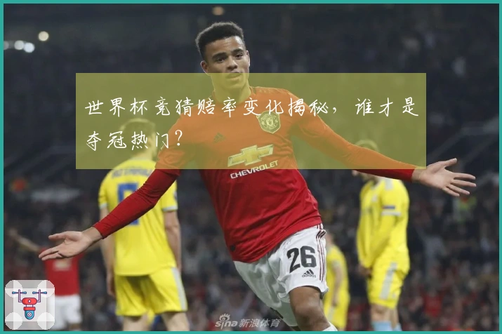 世界杯竞猜赔率变化揭秘,谁才是夺冠热门?