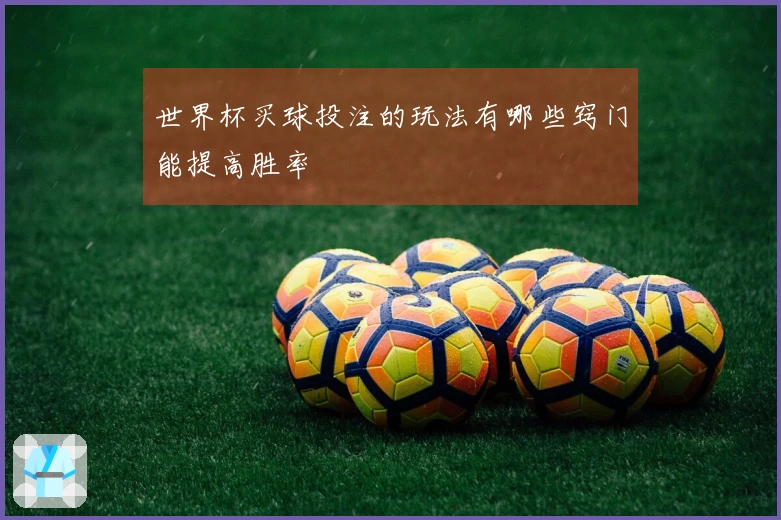 世界杯买球投注的玩法有哪些窍门能提高胜率