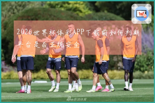 2026世界杯体彩APP下载前如何判断平台是否正规安全