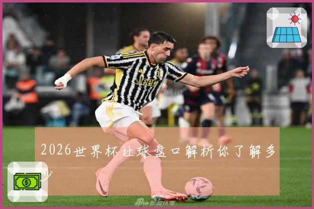 2026世界杯让球盘口解析你了解多少