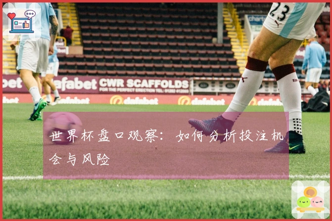 世界杯盘口观察：如何分析投注机会与风险