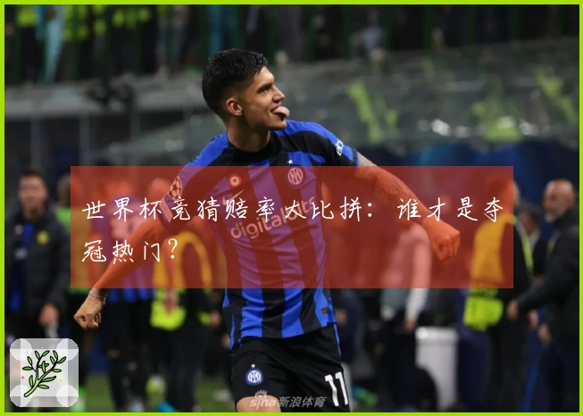 世界杯竞猜赔率大比拼：谁才是夺冠热门？