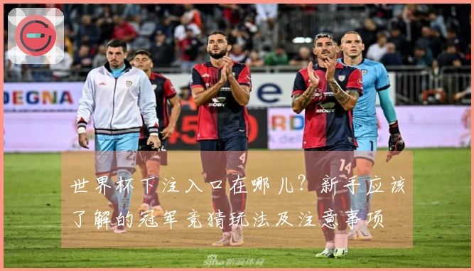世界杯下注入口在哪儿？新手应该了解的冠军竞猜玩法及注意事项