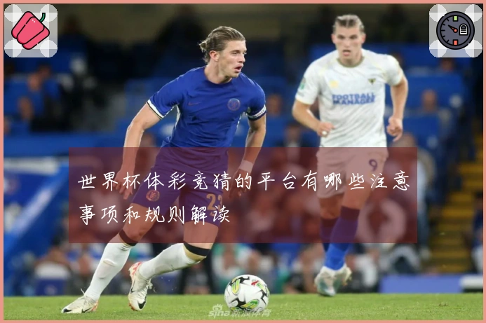 世界杯体彩竞猜的平台有哪些注意事项和规则解读