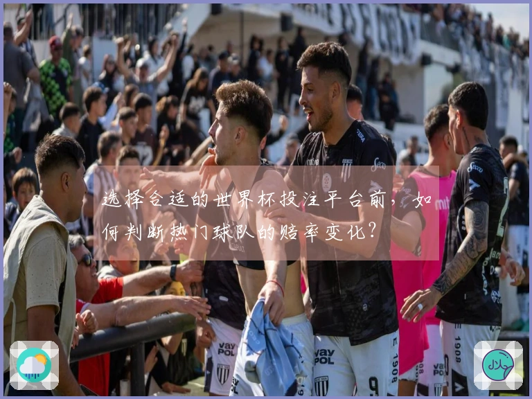 选择合适的世界杯投注平台前，如何判断热门球队的赔率变化？
