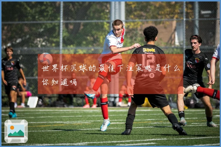 世界杯买球的最佳下注策略是什么你知道吗