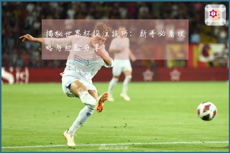 揭秘世界杯投注技巧：新手必看攻略与经验分享