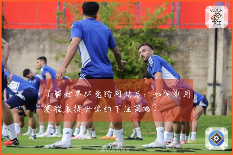 了解世界杯竞猜网站后，如何利用赛程表提升你的下注策略？