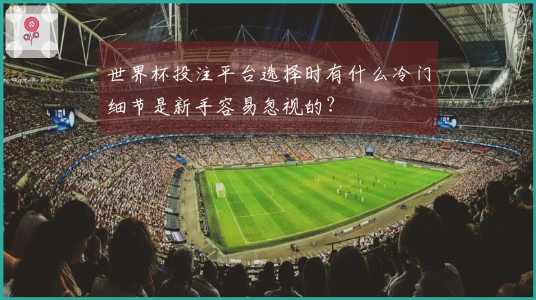 世界杯投注平台选择时有什么冷门细节是新手容易忽视的？