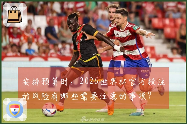 安排预算时，2026世界杯官方投注的风险有哪些需要注意的事项？