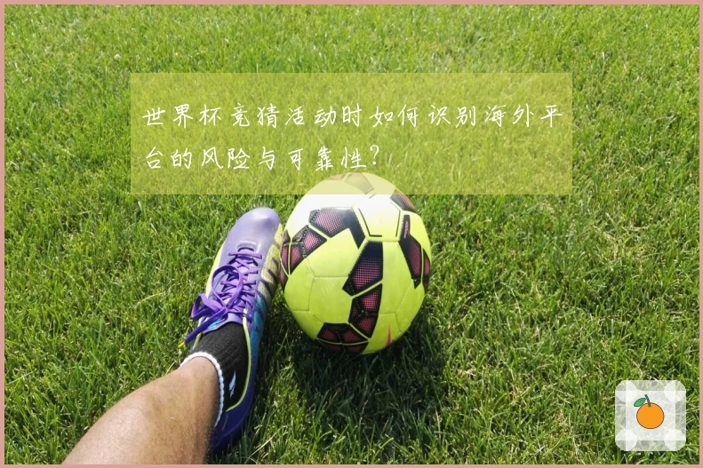 世界杯竞猜活动时如何识别海外平台的风险与可靠性？