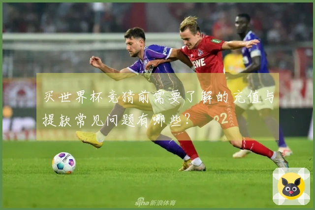 买世界杯竞猜前需要了解的充值与提款常见问题有哪些？