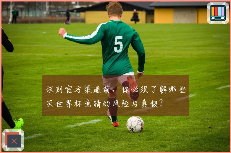 识别官方渠道前，你必须了解哪些买世界杯竞猜的风险与真假？