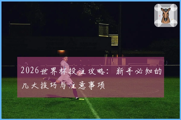 2026世界杯投注攻略：新手必知的几大技巧与注意事项