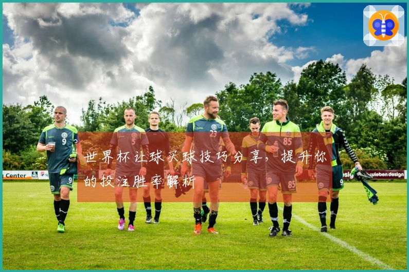 世界杯让球买球技巧分享，提升你的投注胜率解析